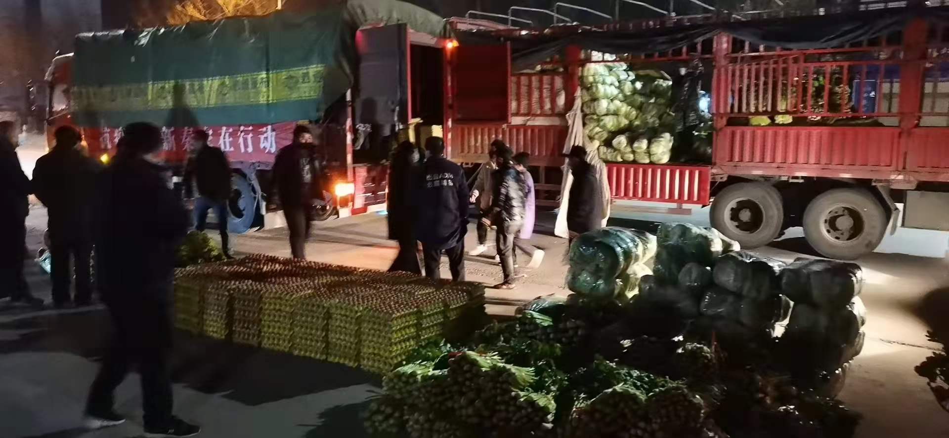 感謝黨和政府對(duì)我公司送來新鮮蔬菜，愿，國無恙，山河永固，加油，西安！
